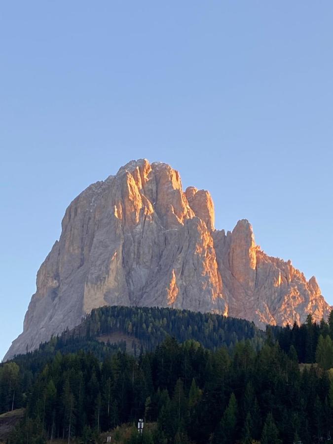 Apartments Mezdi Santa Cristina Val Gardena Exterior photo